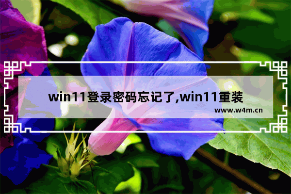 win11登录密码忘记了,win11重装系统后登录密码