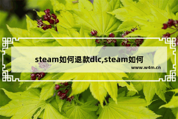 steam如何退款dlc,steam如何退款游戏条件