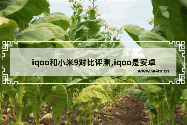 iqoo和小米9对比评测,iqoo是安卓10还是9