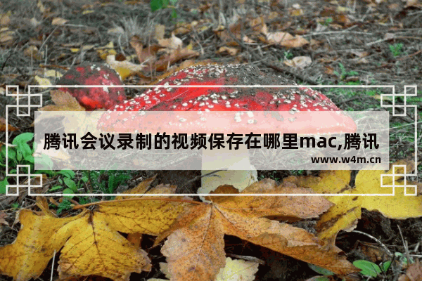 腾讯会议录制的视频保存在哪里mac,腾讯会议录制的视频怎么导出