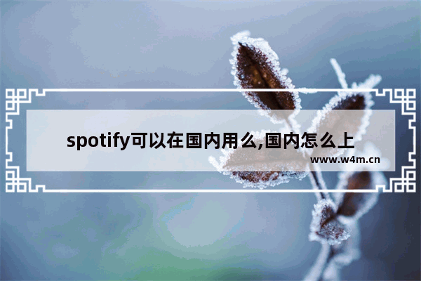 spotify可以在国内用么,国内怎么上spotify