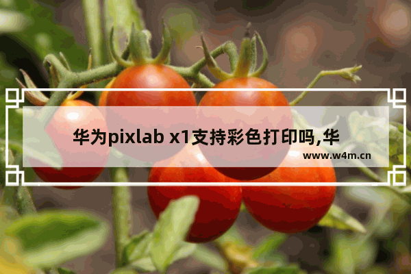 华为pixlab x1支持彩色打印吗,华为PixLabX1打印机