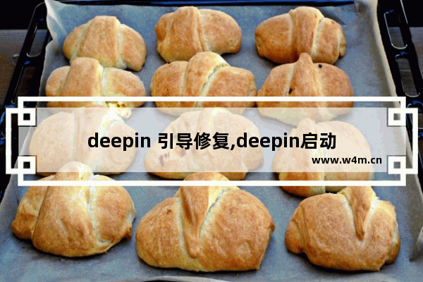 deepin 引导修复,deepin启动项修复