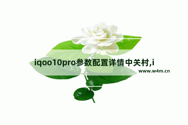 iqoo10pro参数配置详情中关村,iqoo10参数配置详情