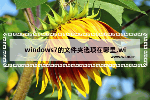 windows7的文件夹选项在哪里,win 7文件夹选项在哪里