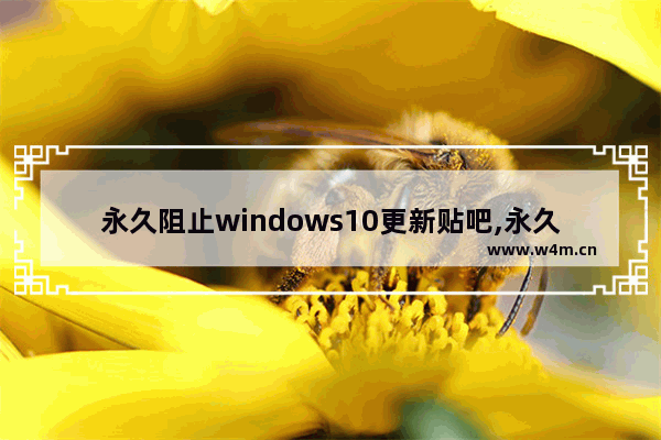 永久阻止windows10更新贴吧,永久阻止Windows10更新