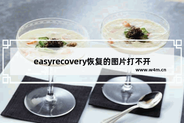 easyrecovery恢复的图片打不开怎么办,easyrecovery易恢复官网