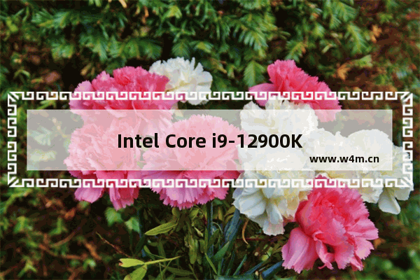 Intel Core i9-12900K,酷睿i9 10900k参数