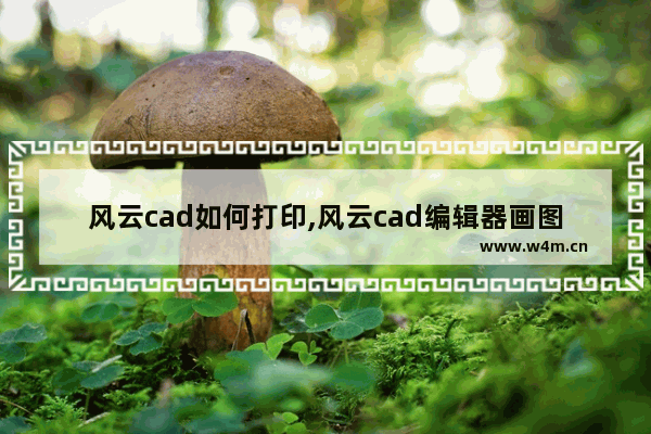 风云cad如何打印,风云cad编辑器画图教程