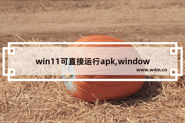 win11可直接运行apk,windows10直接运行apk