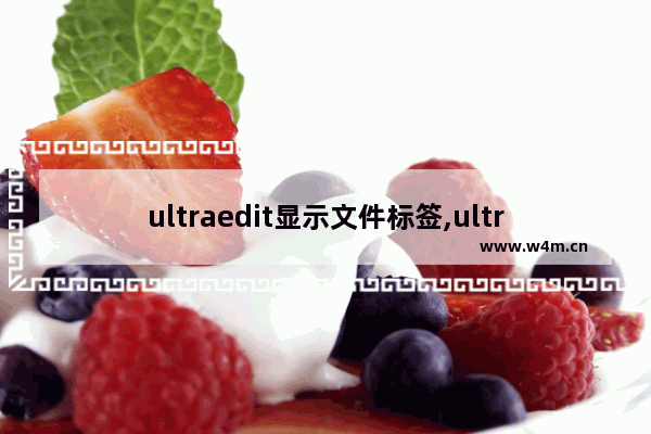 ultraedit显示文件标签,ultraedit删除多行