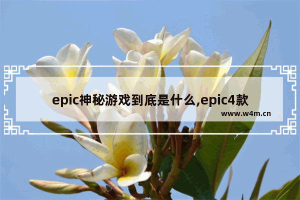 epic神秘游戏到底是什么,epic4款神秘游戏