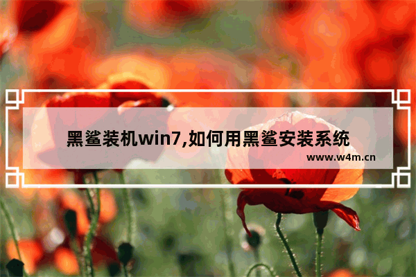 黑鲨装机win7,如何用黑鲨安装系统