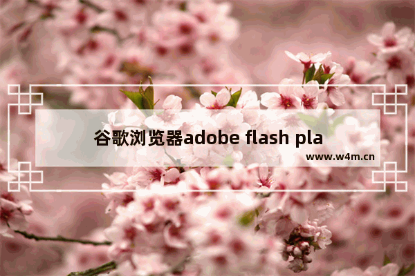 谷歌浏览器adobe flash player已不再受支持,chrome flash player 不是最新版本