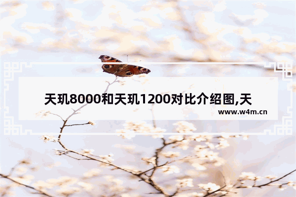 天玑8000和天玑1200对比介绍图,天玑8000和天玑1200对比介绍视频