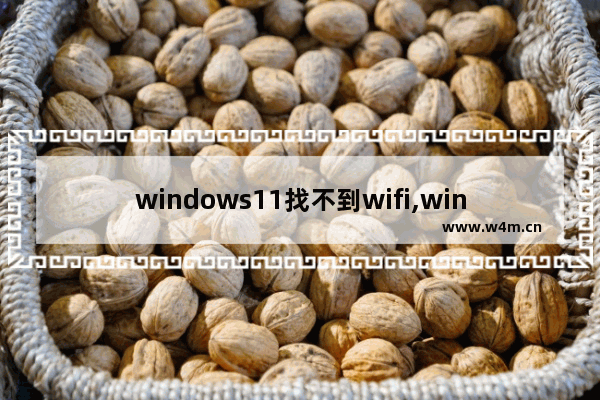 windows11找不到wifi,win10找不到wifi