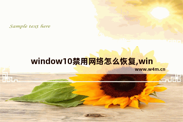 window10禁用网络怎么恢复,win11怎么重置网络