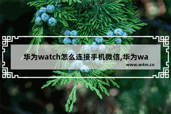 华为watch怎么连接手机微信,华为watch连接手机教程