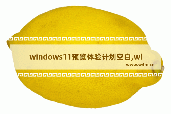 windows11预览体验计划空白,windows预览体验计划一片空白