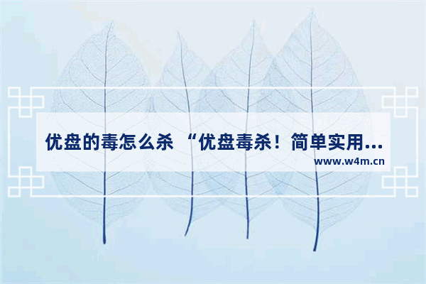 优盘的毒怎么杀 “优盘毒杀！简单实用的处理方法！”