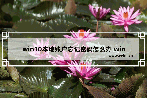 win10本地账户忘记密码怎么办 win10本地账户密码遗忘怎么办