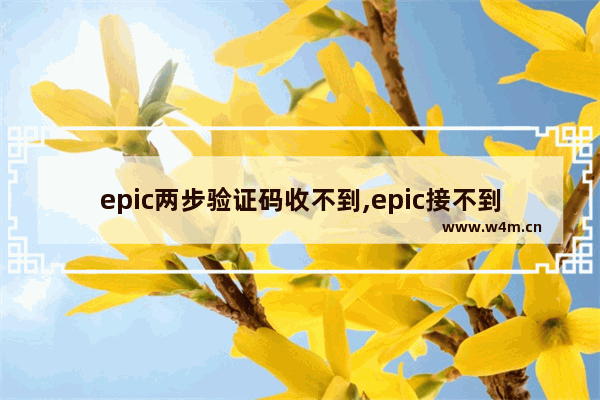 epic两步验证码收不到,epic接不到验证码