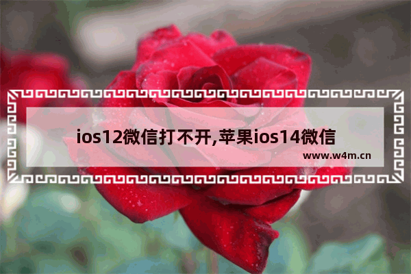 ios12微信打不开,苹果ios14微信打不开