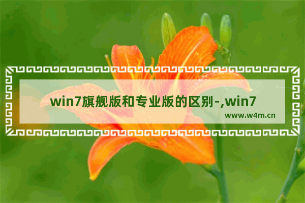 win7旗舰版和专业版的区别-,win7旗舰版和专业版什么区别