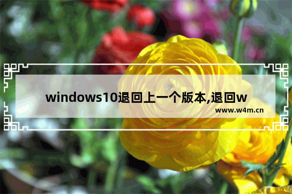 windows10退回上一个版本,退回win10的上一个版本