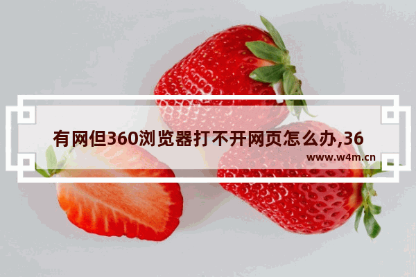 有网但360浏览器打不开网页怎么办,360浏览器打不开网页怎么办_解决360浏览...