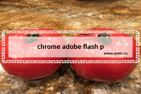 chrome adobe flash player已被屏蔽,谷歌浏览器flashplayer被屏蔽了怎么办