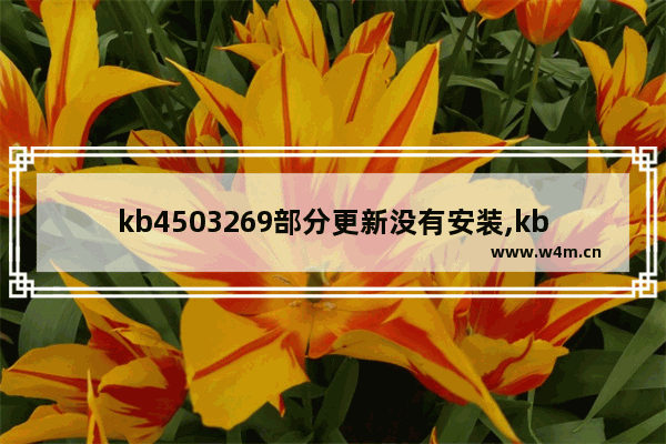 kb4503269部分更新没有安装,kb4499175部分更新没有安装