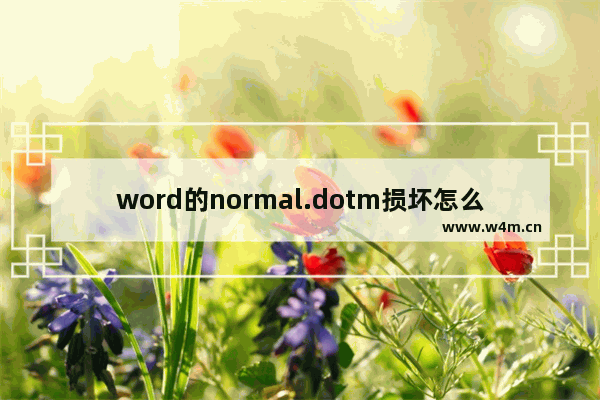 word的normal.dotm损坏怎么搞,word的normal模板损坏怎么办