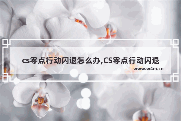 cs零点行动闪退怎么办,CS零点行动闪退