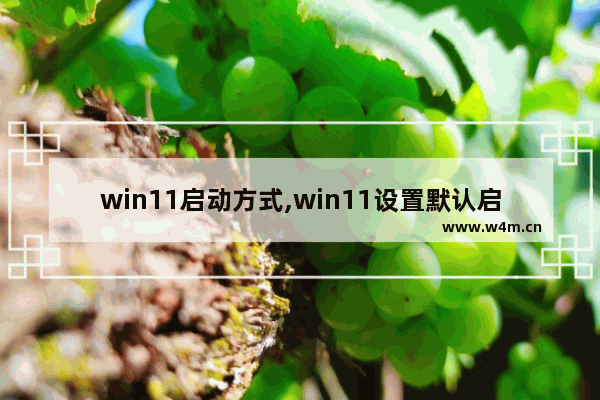 win11启动方式,win11设置默认启动系统