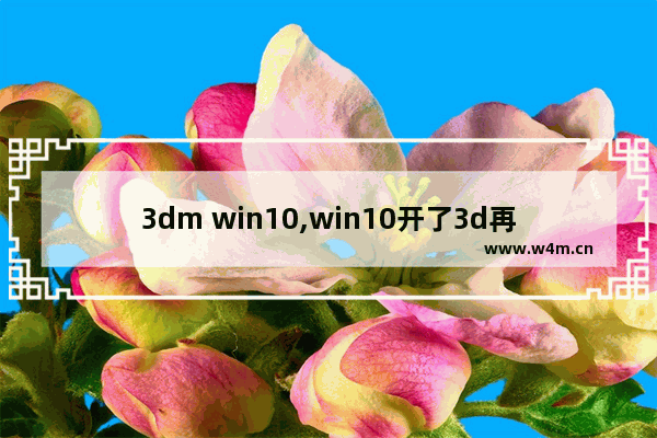 3dm win10,win10开了3d再也进不去系统了