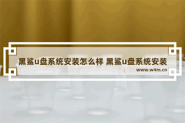 黑鲨u盘系统安装怎么样 黑鲨u盘系统安装操作步骤