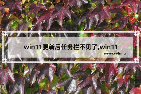 win11更新后任务栏不见了,win11更新后任务栏无响应