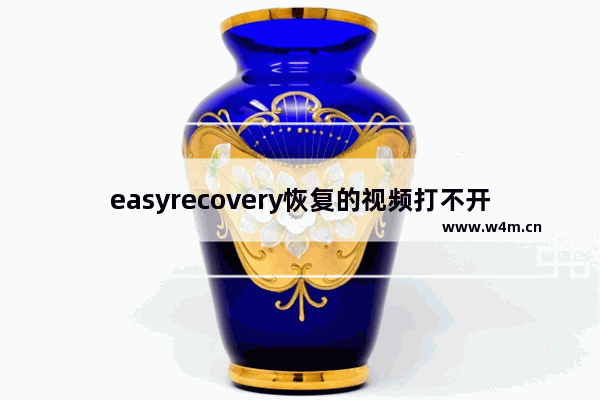 easyrecovery恢复的视频打不开,easyrecovery怎么恢复