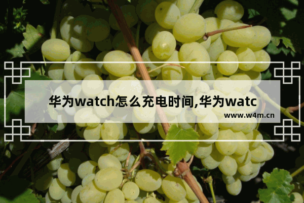 华为watch怎么充电时间,华为watch充电器