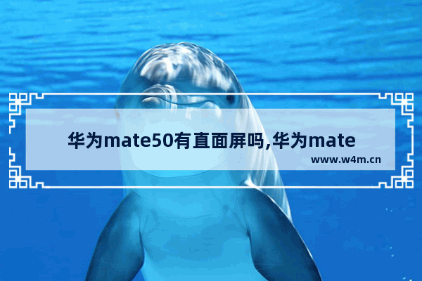 华为mate50有直面屏吗,华为mate50pro是曲面屏吗