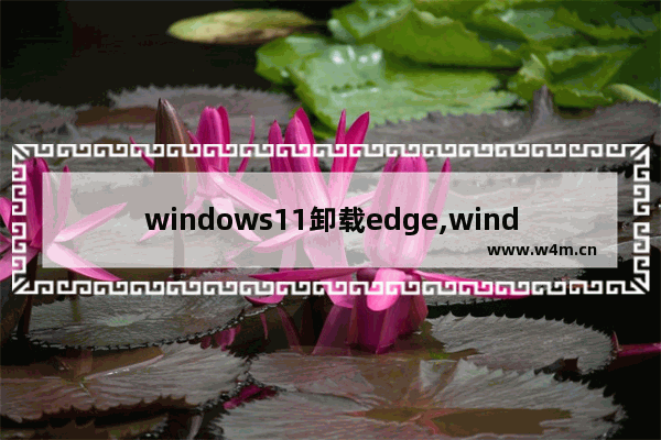 windows11卸载edge,windows10卸载edge