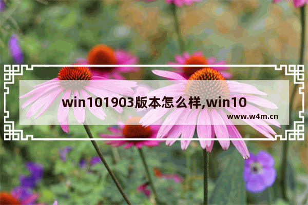 win101903版本怎么样,win101903版本千万别更新