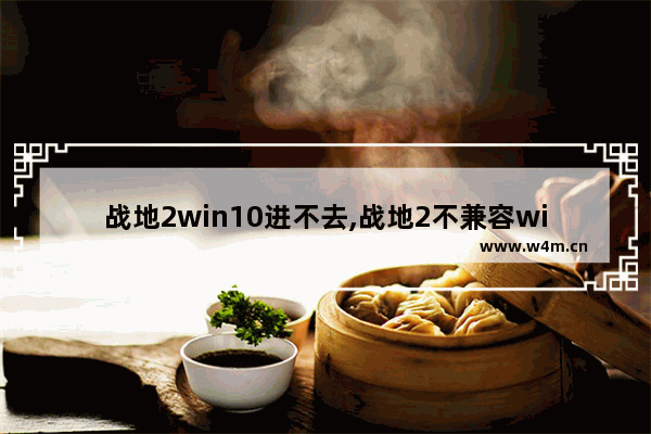 战地2win10进不去,战地2不兼容win10怎么解决