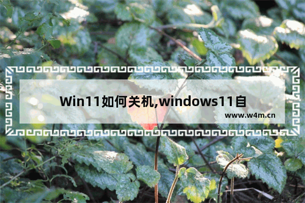 Win11如何关机,windows11自动关机