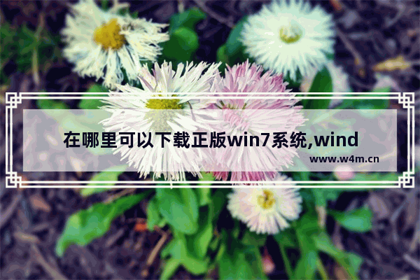 在哪里可以下载正版win7系统,windows7正版系统在哪里下载