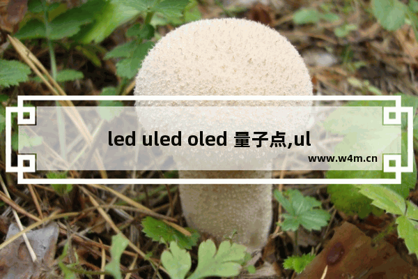 led uled oled 量子点,uled和量子点