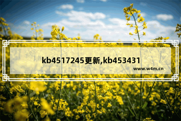 kb4517245更新,kb4534310要不要更新