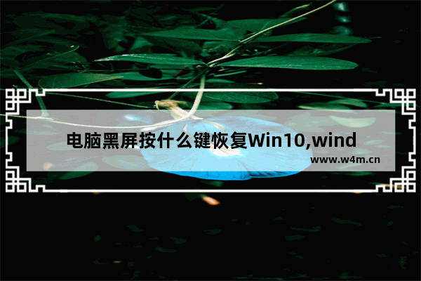 电脑黑屏按什么键恢复Win10,windows10电脑黑屏按什么键恢复