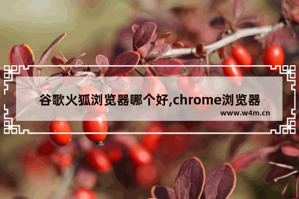 谷歌火狐浏览器哪个好,chrome浏览器和火狐浏览器哪个好